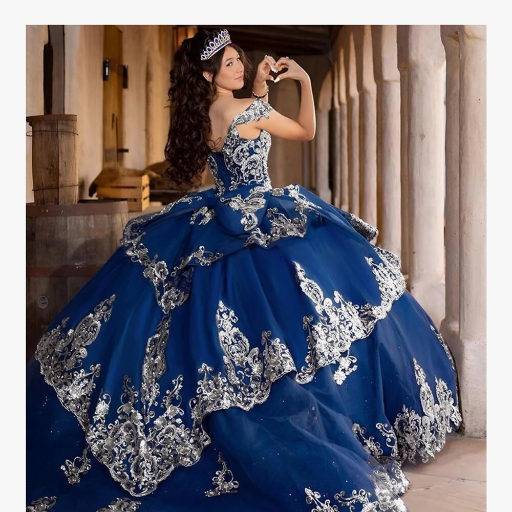 QUINCEANERA Cinderella Elegant Lace Trimmed Baby Blue Ballgown - Picture 2 of 8